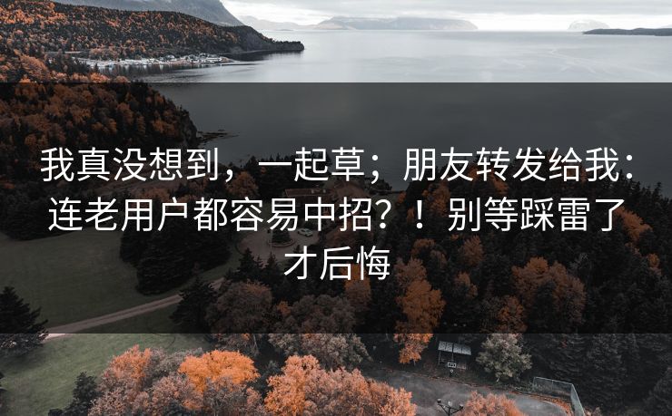 我真没想到，一起草；朋友转发给我：连老用户都容易中招？！别等踩雷了才后悔