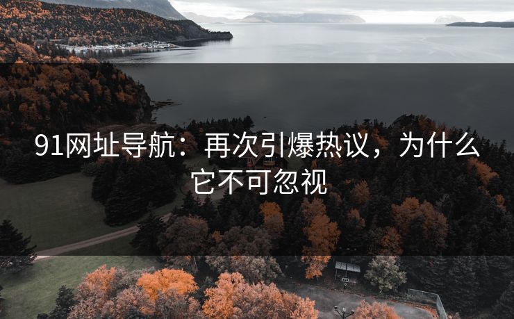 91网址导航：再次引爆热议，为什么它不可忽视